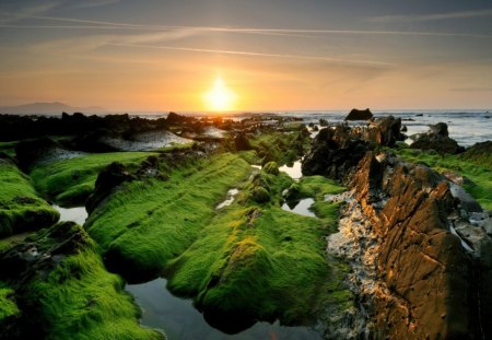 Senset - nature, sunset, sea, rocks