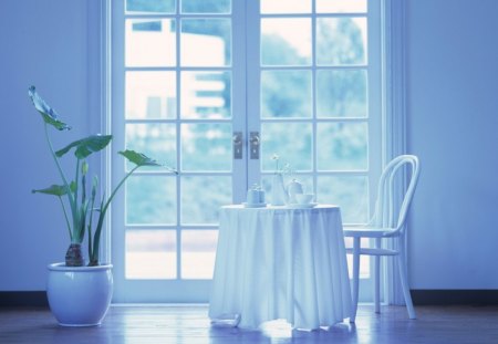 Balcony - plants, table, balcony, table cloth, interior, tea cup