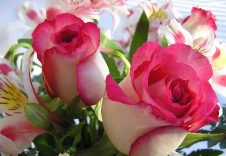 BEAUTIFUL BUDS - flowers, roses, gifts, buds, gardens, plants, bouquets, perfection