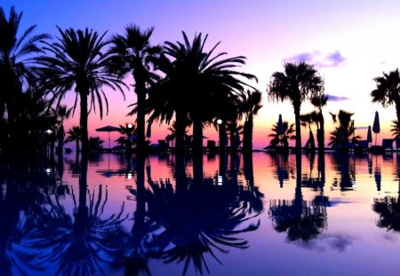 PURPLE PARADISE - beach, tropical, palms, paradise