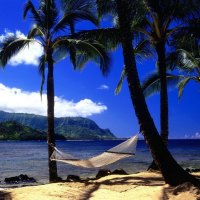 Siesta Spot.