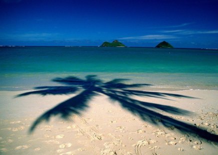 Palm Shadow Beach. - of, shadow, the