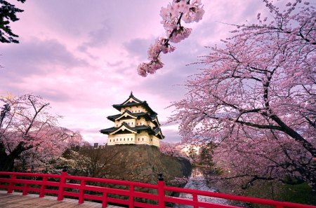 Cherry blossoms III. - landscape, wallpaper, japanese, cherry, spring, nature, hd, japan, sakura, flowers, zen