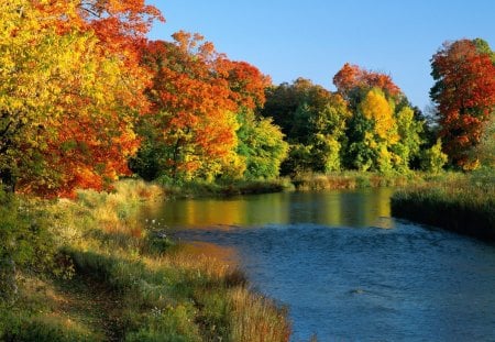 Credit River, Ontario, Canada - trees, water, weeds, grass, colors, daylight, river, trail, canada, nature, autumn, land, day, sky