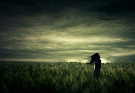 Wind - shilouette, grass, wind, woman