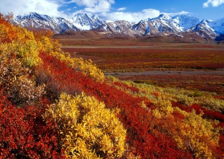 Alaska - nature, beauty, alaska, earth, mountains, photo