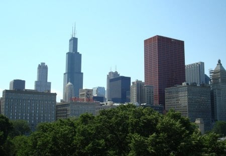 Chicago Skyline - downtown, illinois, bushes, skyscraper, buildings, chicago