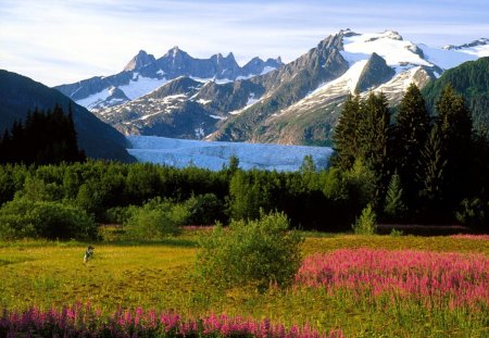 Alaska: the great adventure - alaska, mountains, nature, fields