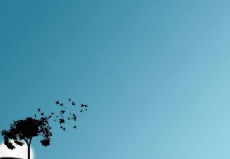 Windy Day - leaves, tree, silhouette, sun