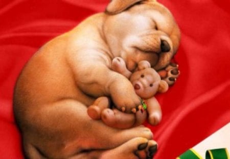 Merry Christmas To ME! - dogs, dog, sleeping, art, toy, animals