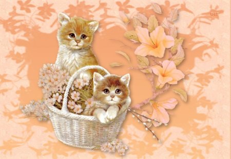 Kittens in basket - cat, animals