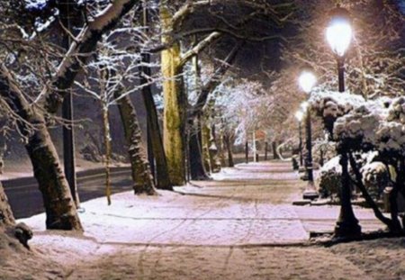 snow fall - winter, park, trees, snow