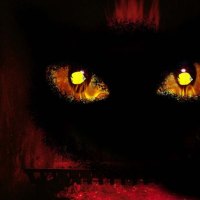 cat face blackout