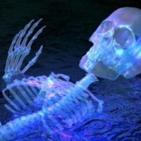 skeleton lightup