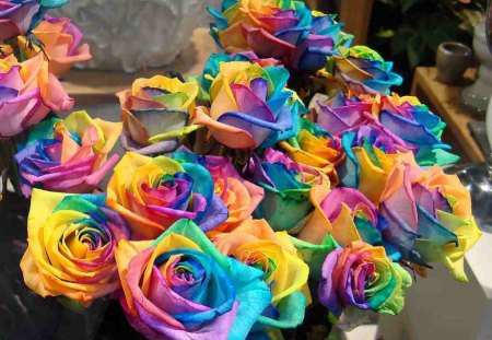 A bunch of rainbow roses for sale by Gertrud K - beauty, nice, rainbow, roses, colorful, bouquet, odd, nature, picture, beautiful, flowers