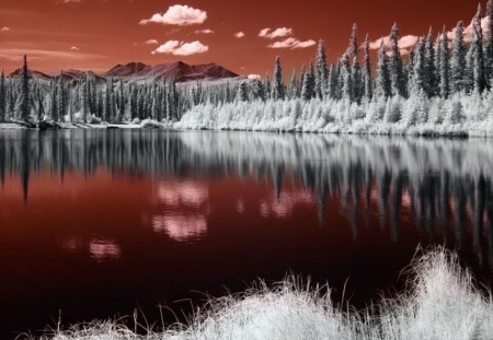 Maroon Dream - thermal, white, sky, landscape, trees, clouds, water