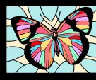 Colorful butterfly