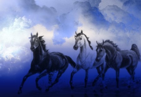 horses - clouds, sewenka, horses, blue, photoshop, color, sky