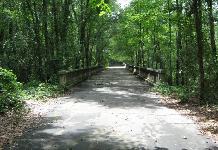 The Old Wagram Bridge - roads, bridge, trees, old