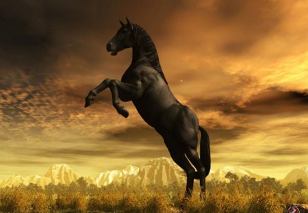 stallion welcoming the sun - animal, nature, sky, clouds