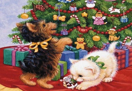 christmas pets - dog, winter, nature, cat