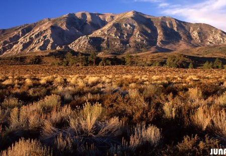 Wheeler Crest, Eastern Sierra, California - tina8179, flowerlady13, alhana, 1ellina1