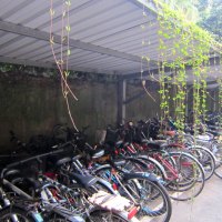 Bicycle shed in the university