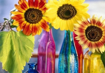 Coloured Bottles Spouting Colour. - a, nice, very, of