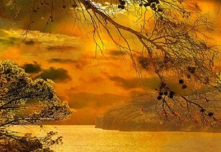 scenery in gold color - scenic, gold, nature, beach