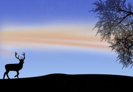 quiet,and peaceful - animal, sky, deer, clouds