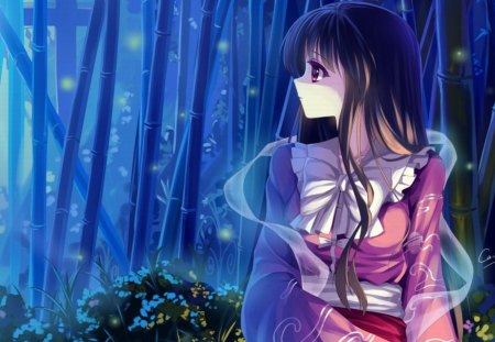 Houraisan Kaguya - game, touhou, blue, girl, orginal, night, forest, long hair