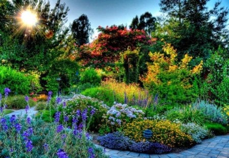 Garden Light - pretty, flowers, path, colorful, rays, garden, sun, shine, walkway