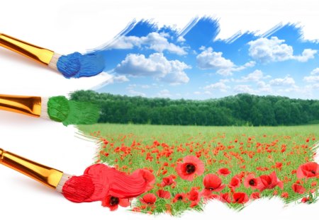 Flower field - flowers, creativity, poppies, fields, landscape, paint brush, art, sky