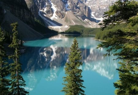 Serene Lakeside Reflections - lakes, nature, trees, snow