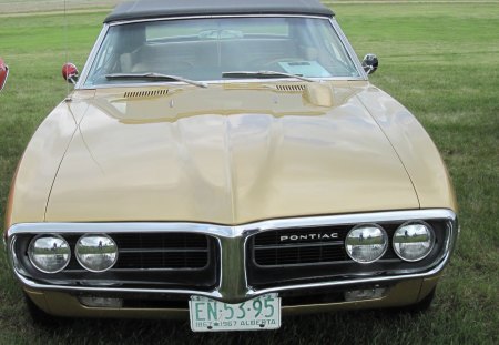 1967 Pontiac at the car show - nickel, car, photography, pontiac, green