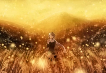 Anime in landscape - field, sun, anime, landscape