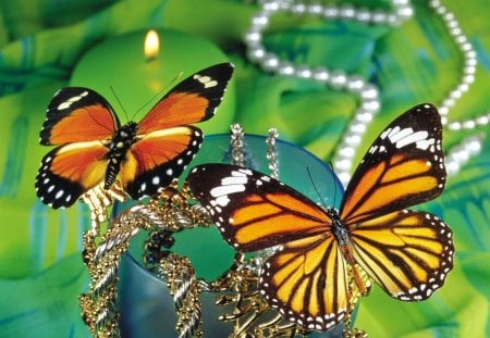 Butterflies and jewerlies - animal, nature, insect, flower, pearl