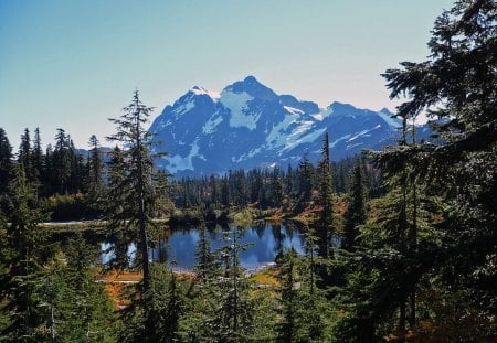 Mount Shuksan - autumn, lake, sky, trees, mountains, pacific northwest, ski, washington, mount baker, fall, mirror lake, forest, scenery, image lake, usa