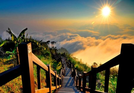 Lovely view - stairs, sky, sun, greenery, sunset, view, clouds, green, sunny, high, morning, rays, summer, lovely, nature, glow, beautiful, sunrise