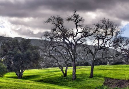 beautiful nature landscape - trees, mountain, clouds, grass