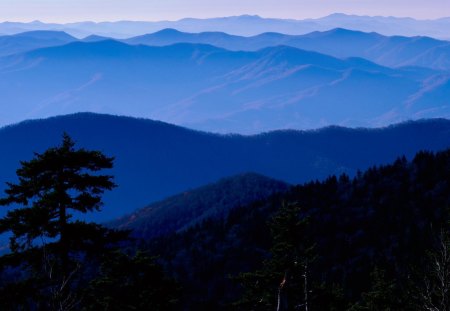 great smokey mountains np tennessee - mountains, trees, mist, blue