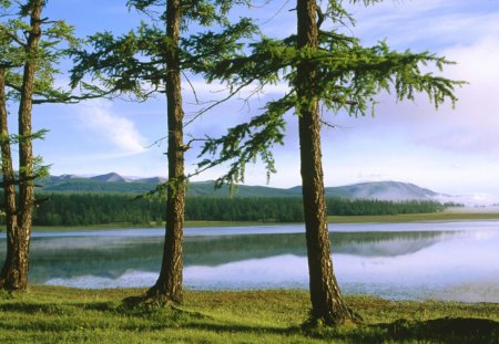 khovsgol nuur lake mongolia - lake, forest, mountains, tress