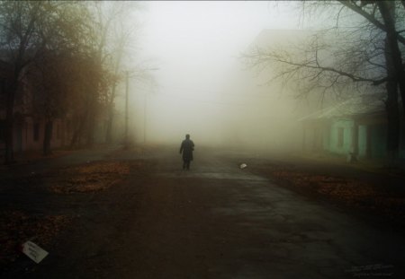 Walking Alone - alone, walk, fog, mist