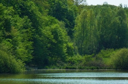 beautiful lake - nature, water, lake, trees