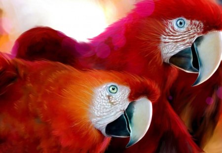 red parrots - beauty, pets, animals, birds