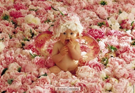 cute baby in flowers - nature, flowers, cute, baby