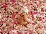 cute baby in flowers