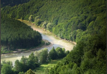 wild river - landscape, forests, trees, pine, spruce, water, greenery, wild river, river bend, nature, with mountains