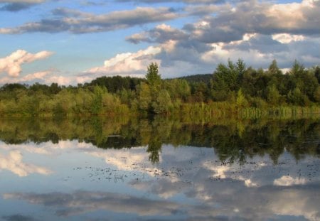 forest lake - greenery, clouds, vegetation, trees, water, summer, landscape, wildflowers, forests, grasses, nature, spruce, pine, lake, sky