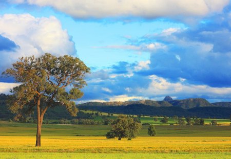 beautiful landscape in australia - plains, mountains, trees, clouds